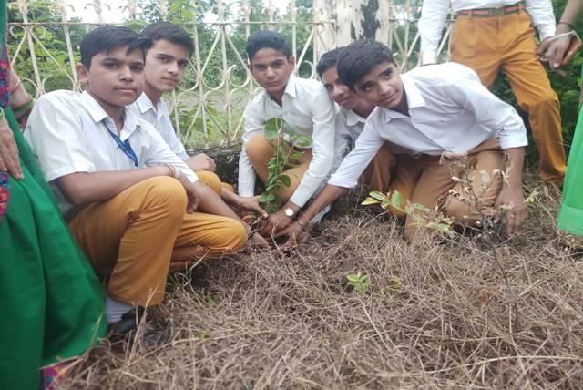 Hariyali Teej Celebration at Maharishi Vidya Mandir Narsinghpur